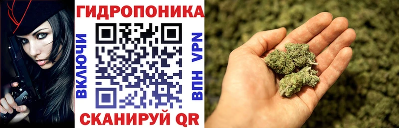 дарнет шоп  OMG онион  Каннабис сатива  Новая Усмань 